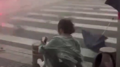 Летающие зонтики, деревья и люди: видео того, как на Пекин обрушился мощный ураган