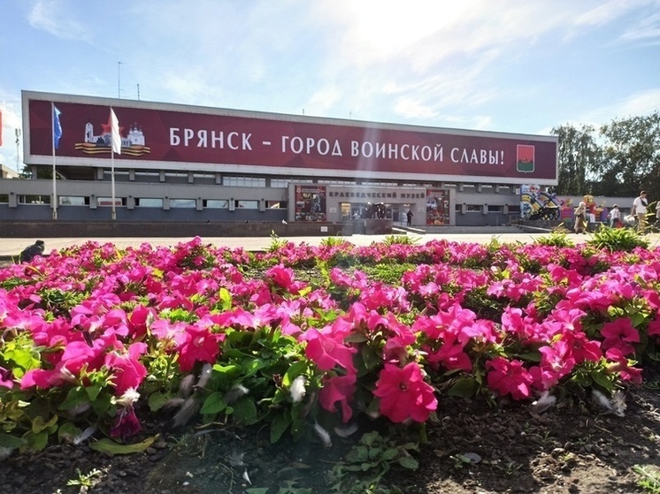Брянцам предложили подарить музею экспонаты