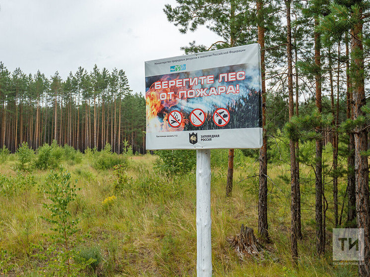 В Татарстане объявлено штормовое предупреждение из-за высокой пожарной опасности