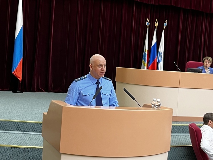 Саратовский депутат не спал всю ночь из-за увиденного в отчете ревизоров