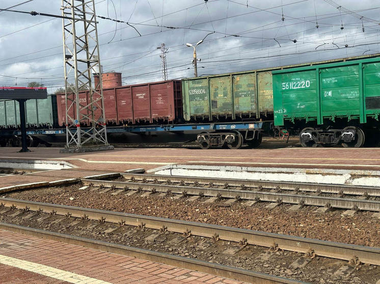 На Тульской детской железной дороге прошла акция «Вагончик безопасности»