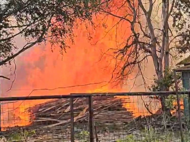 Лесопилка полыхает в поселке совхоза «Буденновец» под Дмитровым
