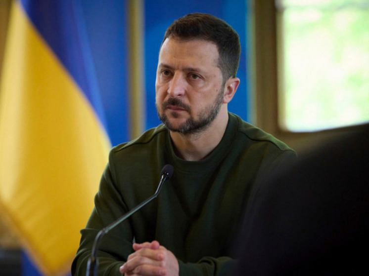 RS: Зеленский открыто раскритиковал Байдена из-за мирного саммита