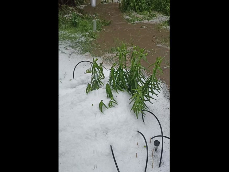 В Кисловодске и Пятигорске прошел град