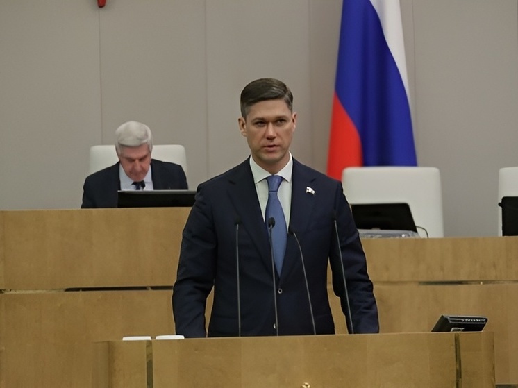 Депутат Алтухов прокомментировал внесенный в Госдуму законопроект о запрете продажи вейпов