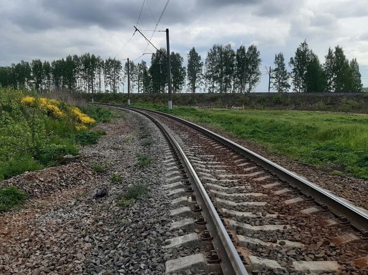 Дореволюционный Обуховский путепровод пойдет под снос ради строительства ВСМ