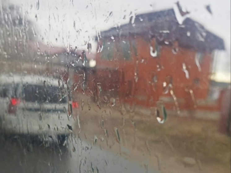 ГИБДД Карелии объяснила, как не погибнуть на дороге в непогоду