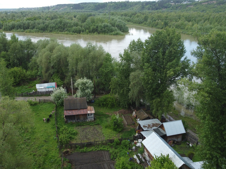 Ситуация с уровнем воды в Оби около Барнаула стабилизировалась
