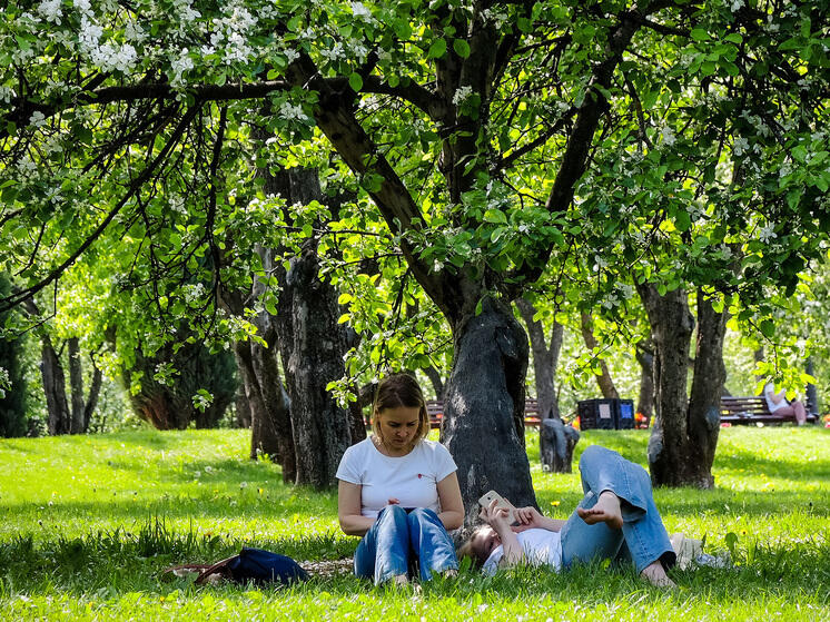 Аномальная жара этим летом не затронет Подмосковье