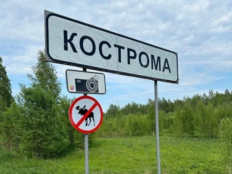 При въезде в Кострому появился «оберег» от лосей