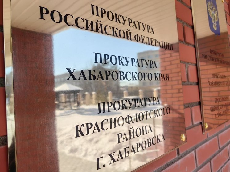 Более 7000 нарушений прав детей выявили в Хабаровском крае