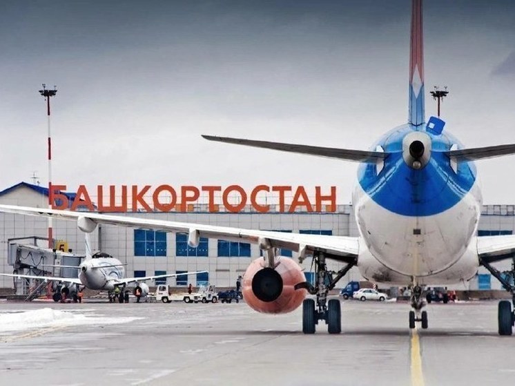 Приземлившийся в Уфе самолет сбил птицу