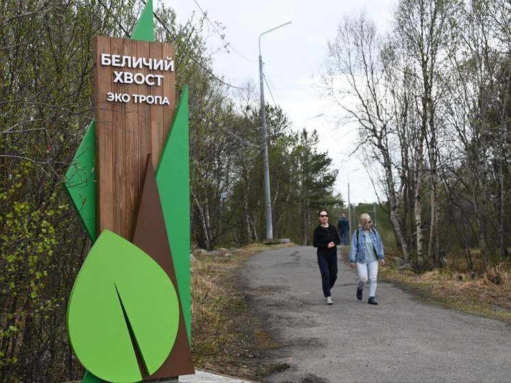 В первый день лета в Мурманске открыли экотропу «Беличий хвост»