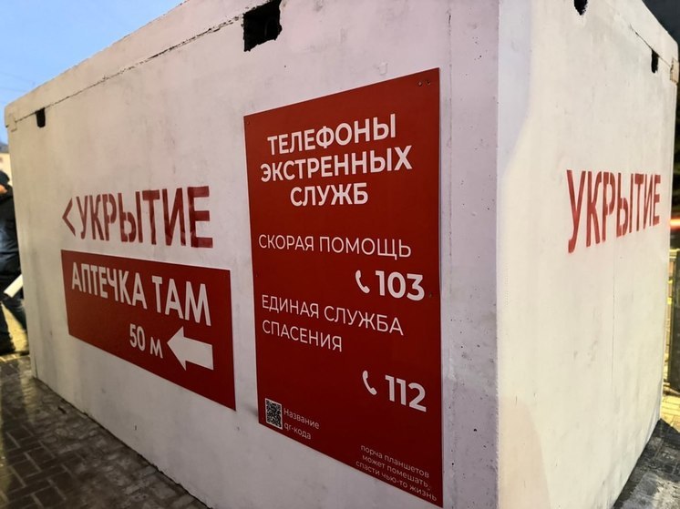 МЧС предложило закрепить право иностранцев в России пользоваться убежищами