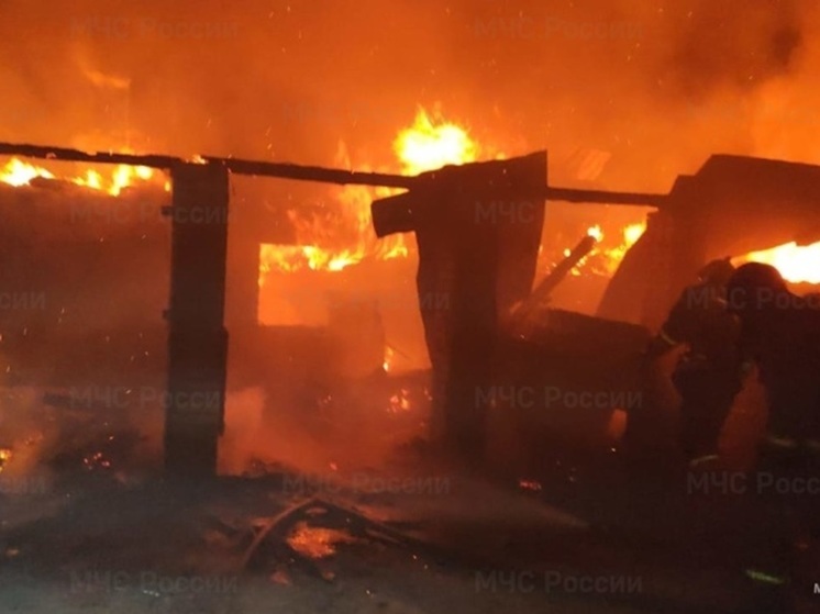 В Свердловской области в крупном пожаре сгорели три дома и автомобиль