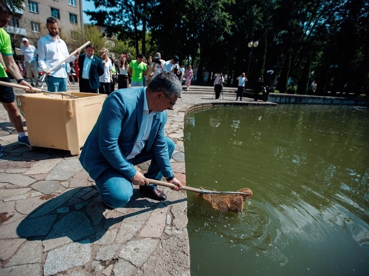 В пруду «Лопатинского сада» появились новые обитатели