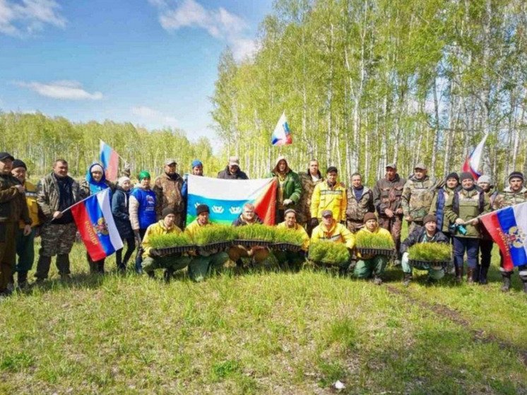 К юбилею Тюменской области в регионе высадят 80 тысяч деревьев