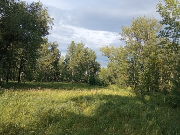 Тепло до +20 ожидает Красноярск 2 июня