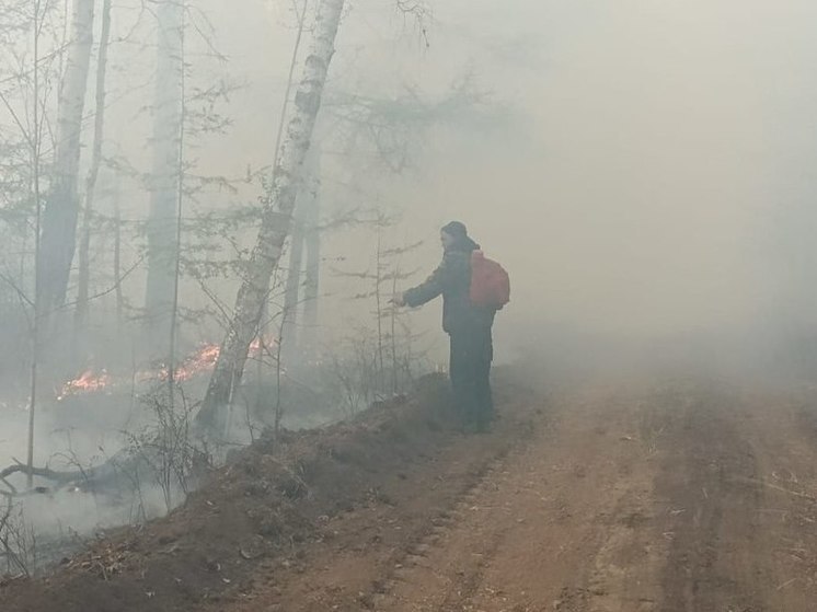 Загрязнение воздуха превысило ПДК из-за лесных пожаров под Читой