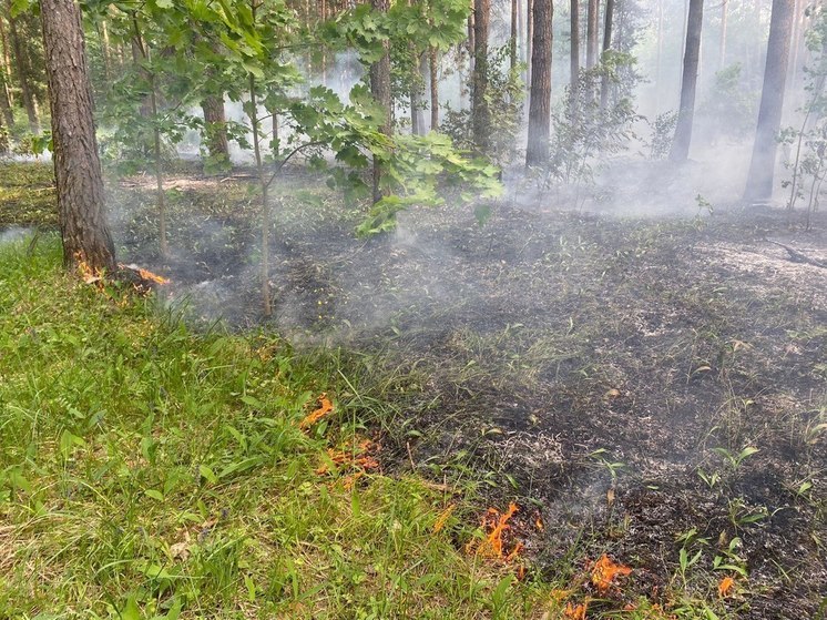Специалисты дали огненный прогноз в Подмосковье до 4 июня