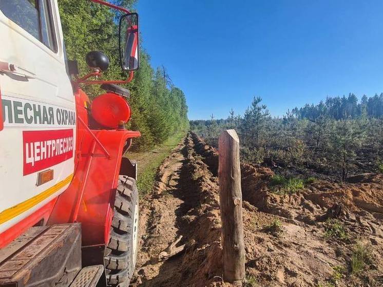 В Орехово-Зуевском округе вспыхнул лесной пожар