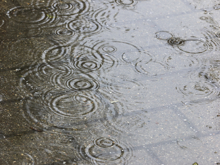 Самые интенсивные дожди будут в понедельник и четверг