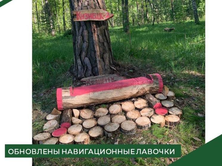 В пензенских лесах обновили навигационные лавочки