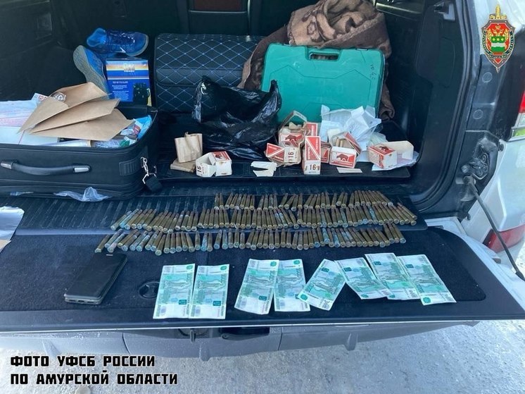 Продать боеприпасы сотруднику ФСБ попытался житель Приамурья