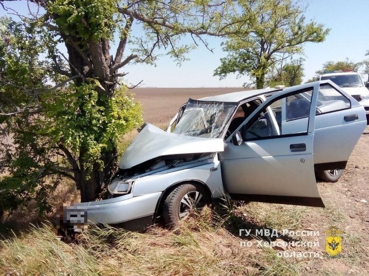 В Чаплынском районе на Херсонщине иномарка съехала в кювет