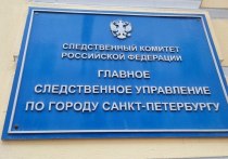 СК организовал доследственную проверку по факту избиения петербурженки в Шуваловском парке. Об этом сообщили в пресс-службе ГСУ СК РФ по Петербургу.