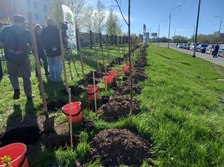 Сотрудники архангельского онкодиспансера приняли участие в акции «Сад Памяти»