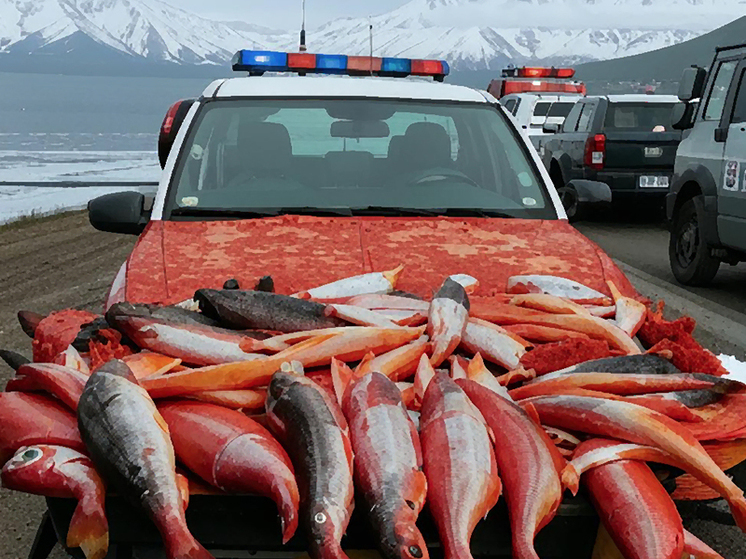 На Камчатке полицейские задержали заваленную красной рыбой иномарку
