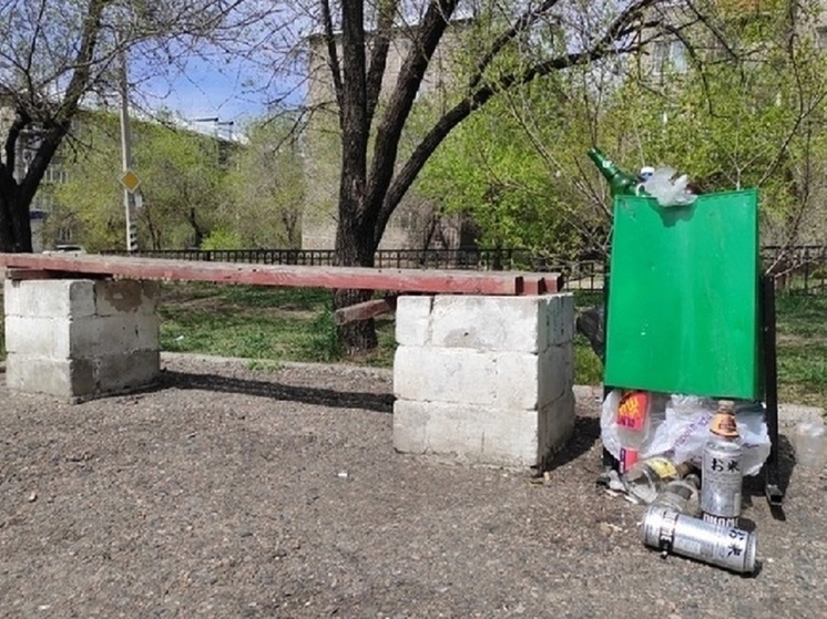 Переполненные урны вызвали недовольство сити-менеджера Читы Щегловой