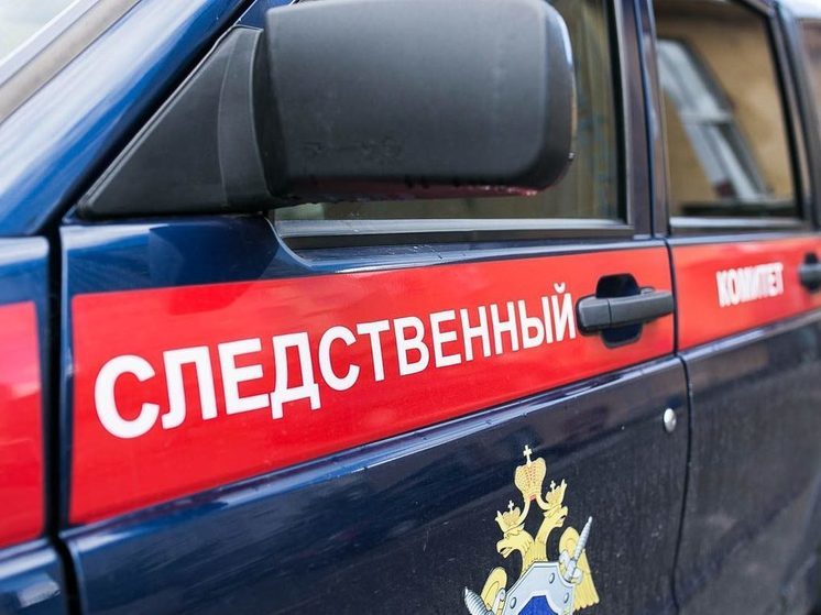 К продолжительному тюремному сроку приговорили жителя Тазовского района за надругательство над несовершеннолетней и попытку нападения на полицейского