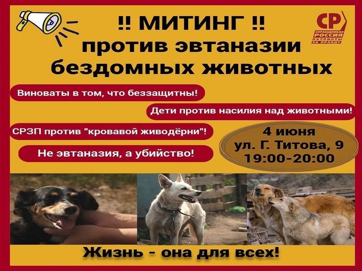 Алтайские социалисты приглашают на митинг против эвтаназии бездомных животных