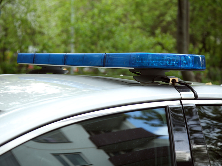 В округе Балашиха задержаны напавшие на водителя