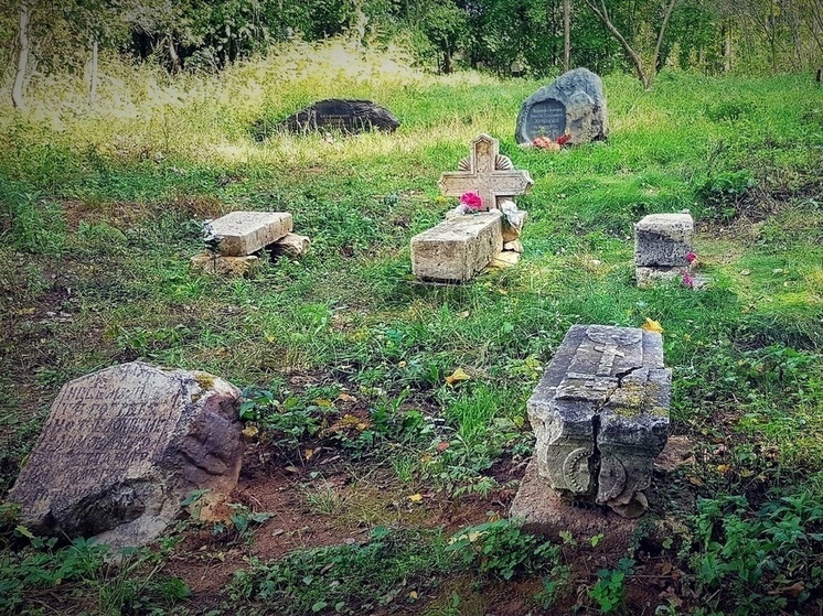 На кладбище в Твери завелись змеи