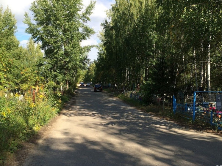 Дикие собаки напали на нижегородку на Ново-сормовском кладбище
