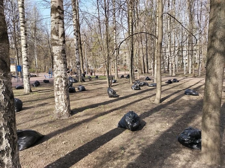 У 80 выборгских школьников началось трудовое лето