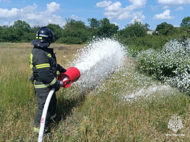 Сводка МЧС за неделю: в Херсонской области ликвидировали 39 пожаров