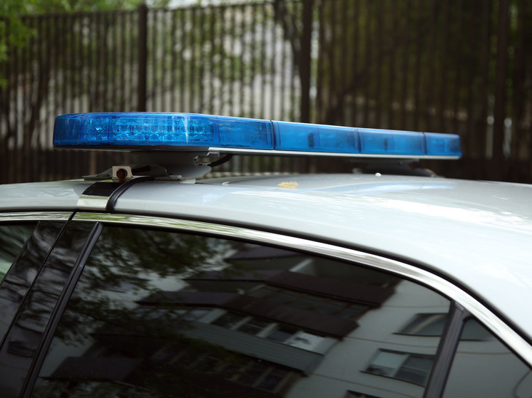 В Щелково мужчина на улице напал на свою сожительницу