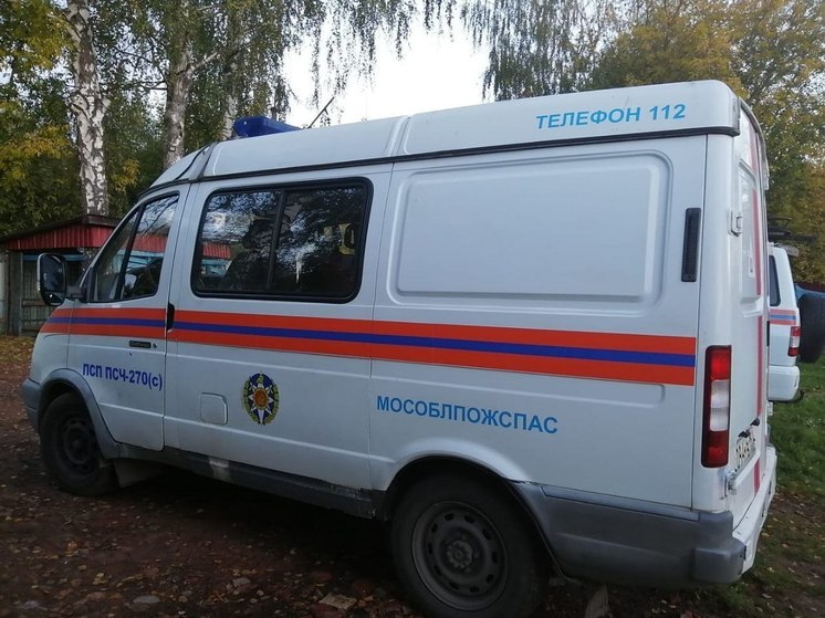 Спасатели помогли женщине, которая травмировала ногу в лесу