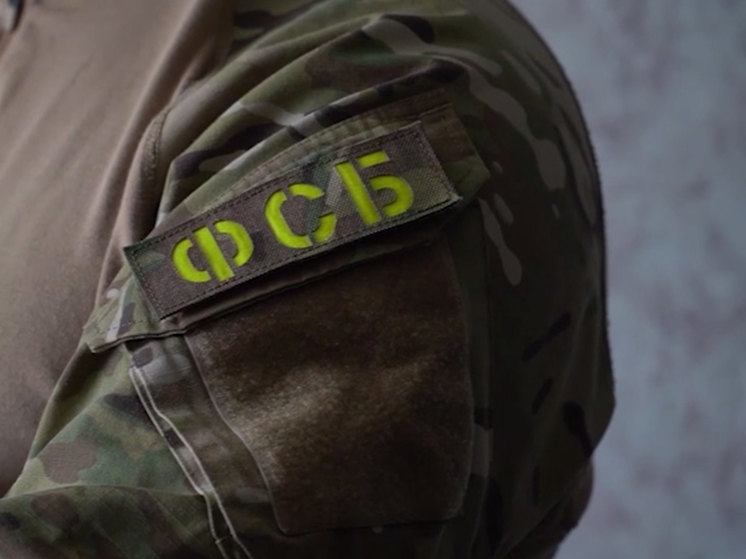 ФСБ задержала группу диверсантов, готовивших теракты против Черноморского флота