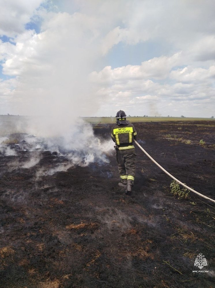 В Херсонской области потушили 11 пожаров за сутки