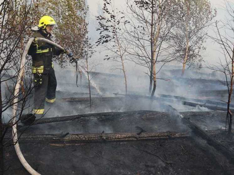 В выходные в Рязанской области произошёл ещё один лесной пожар
