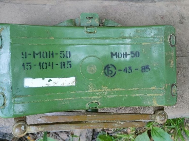 Подозрительный боеприпас обследовали взрывотехники Росгвардии в Вологодской области