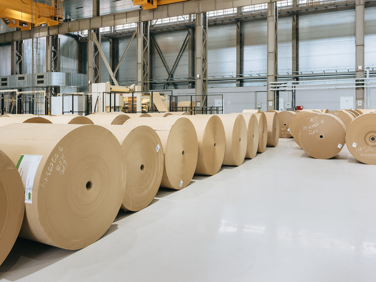 Segezha Group планирует создание кластера «Лес упаковочных решений»