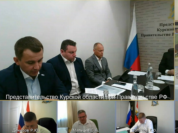 В Курске ищут 42 млн рублей на ремонт тротуара на Плевицкой