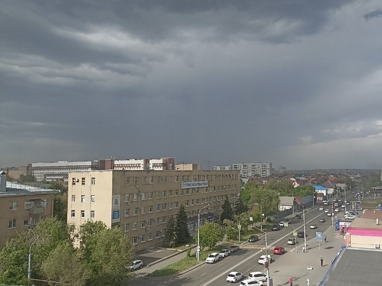 В Оренбурге сильный ветер повалил дерево на автомобиль