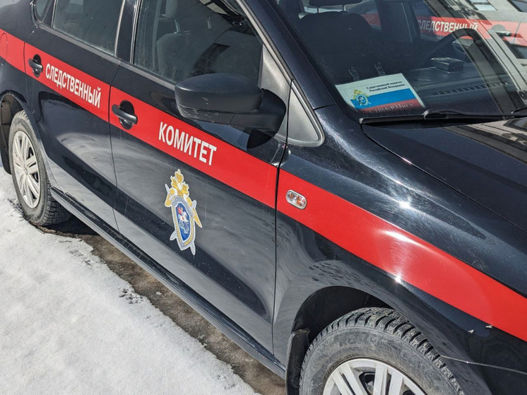 Жительница Александрова незаконно получила пособий на 330 000 рублей
